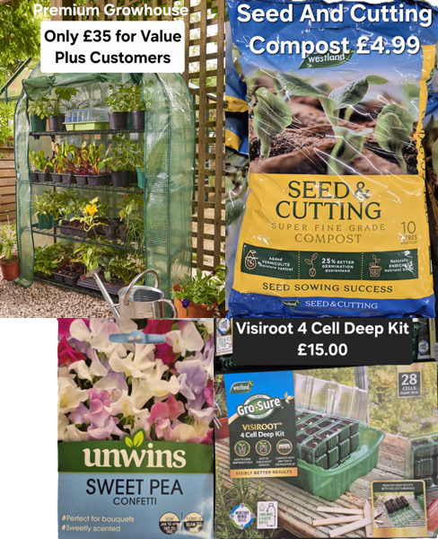 Sowing Seeds for A New Gardening Year