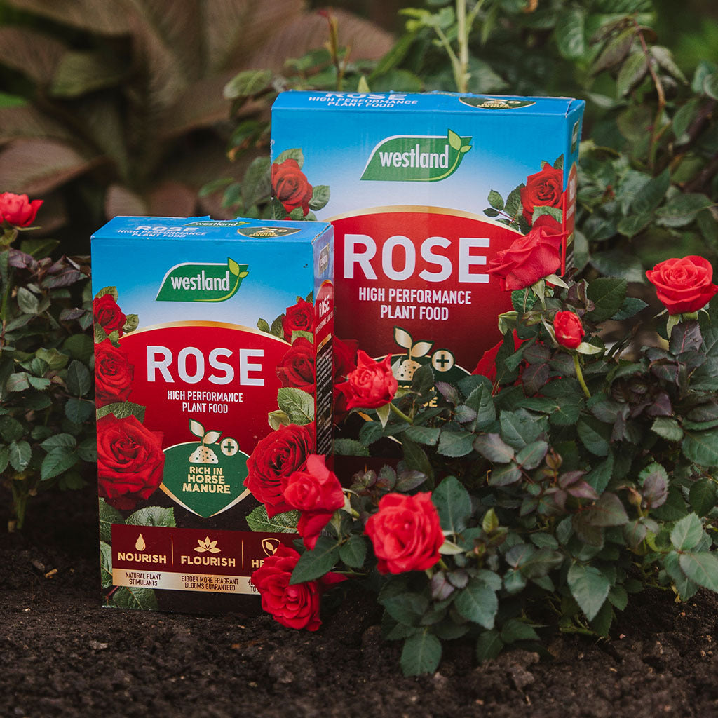 Manure And Roses Rose Food Enriched Horse Manure - 3kg – Milton Ernest Garden Centre